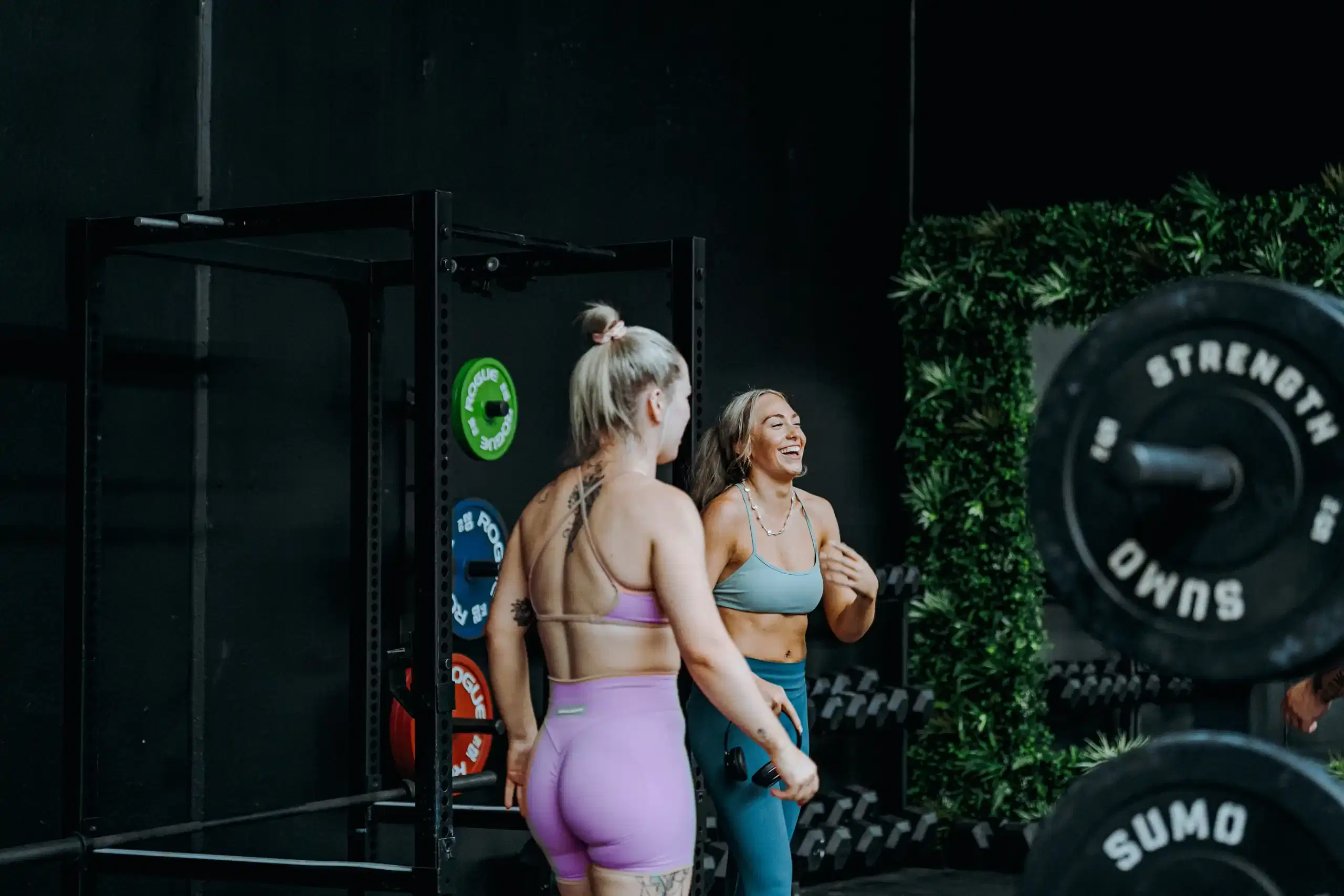 Iron Jungle Equipment