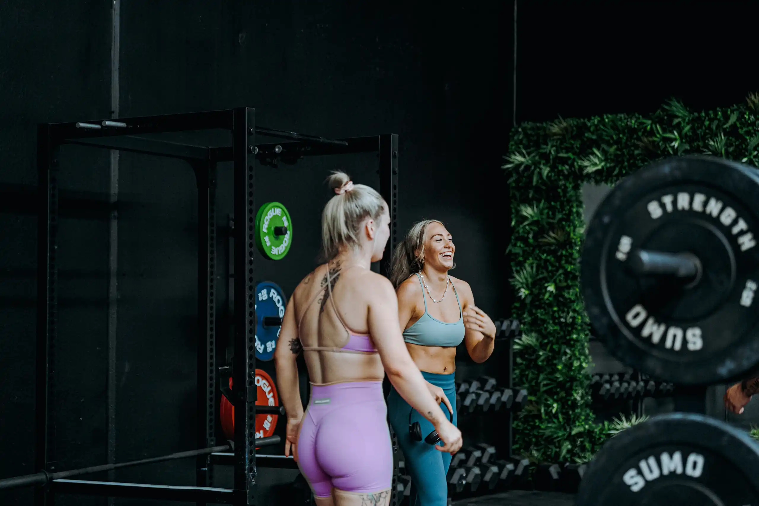 Strength and weight-training equipment at Iron Jungle gym