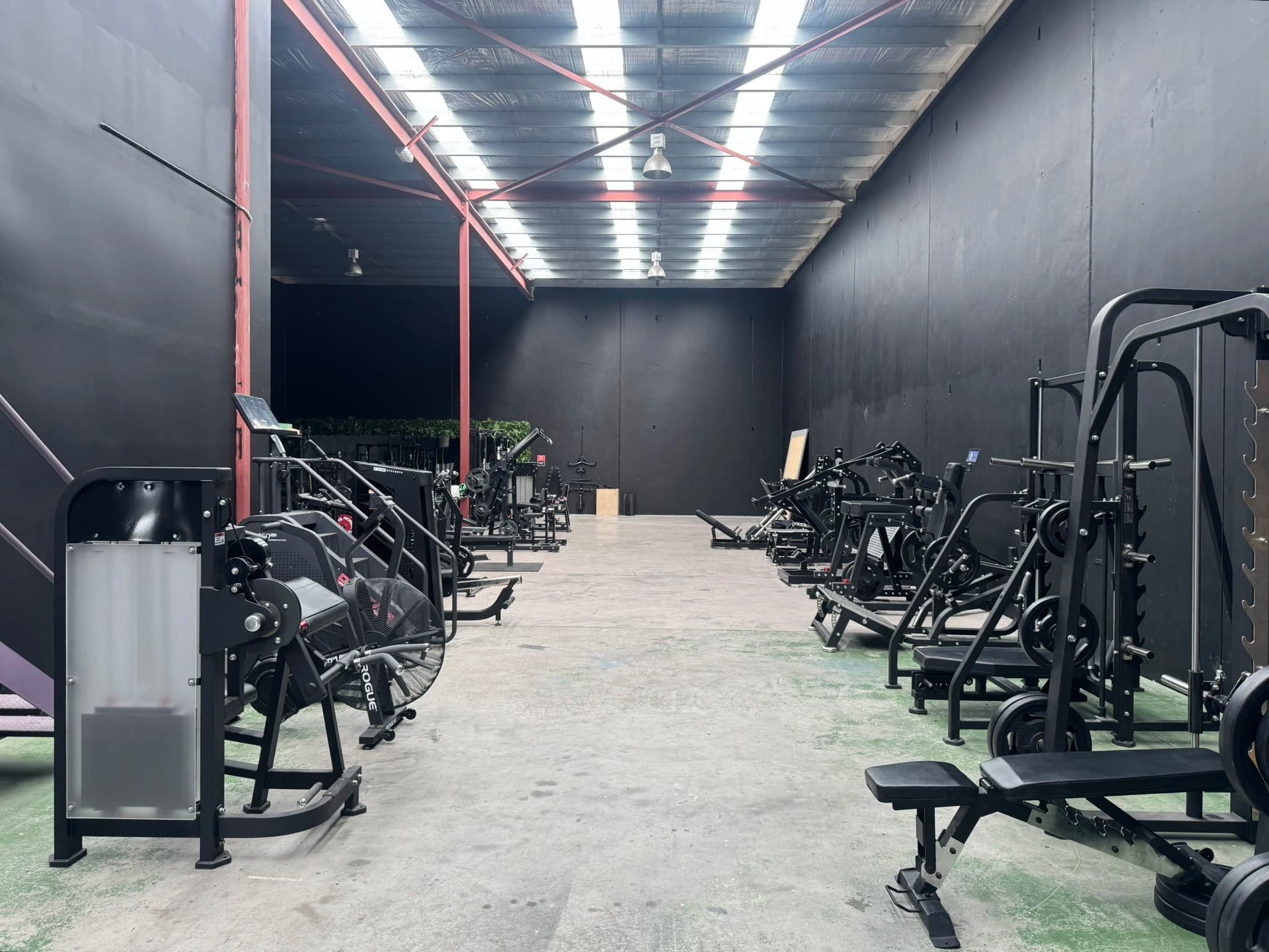 Iron Jungle Gym Background